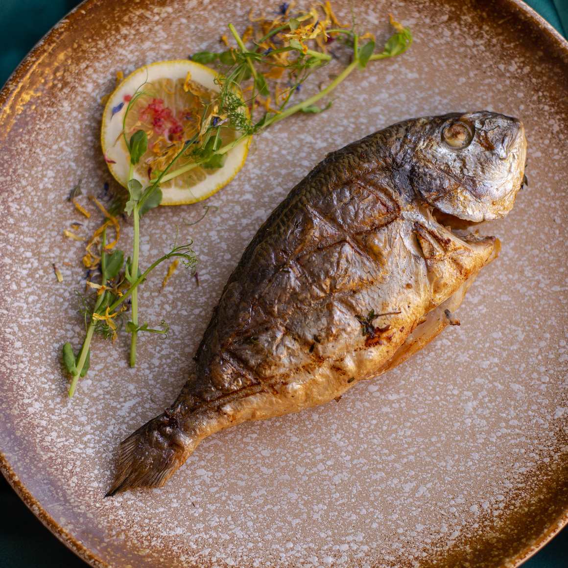 Дорадо на гриле